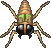 Mutuca Voraz — Warspear Online