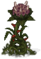 Caule da Dor — Warspear Online