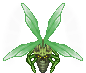 Cospe-veneno Voador — Warspear Online