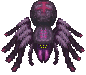 Aranha Tenebrosa — Warspear Online