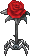Rosa Vermelha — Warspear Online